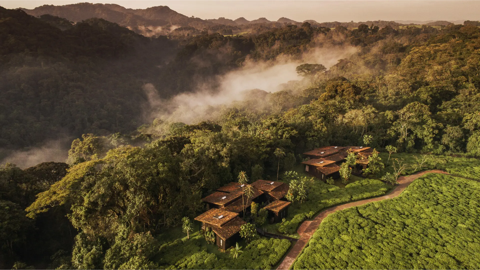 Discover Rwanda's top glamping spots with luxury safari camps and lodges. Enjoy thrilling wildlife safaris, exceptional accommodations, and ultimate comfort Luxury glamping, Rwanda, Safari Camps, Lodges, Wildlife Safaris, Accommodations, Gorilla tours, Rwanda Itineraries