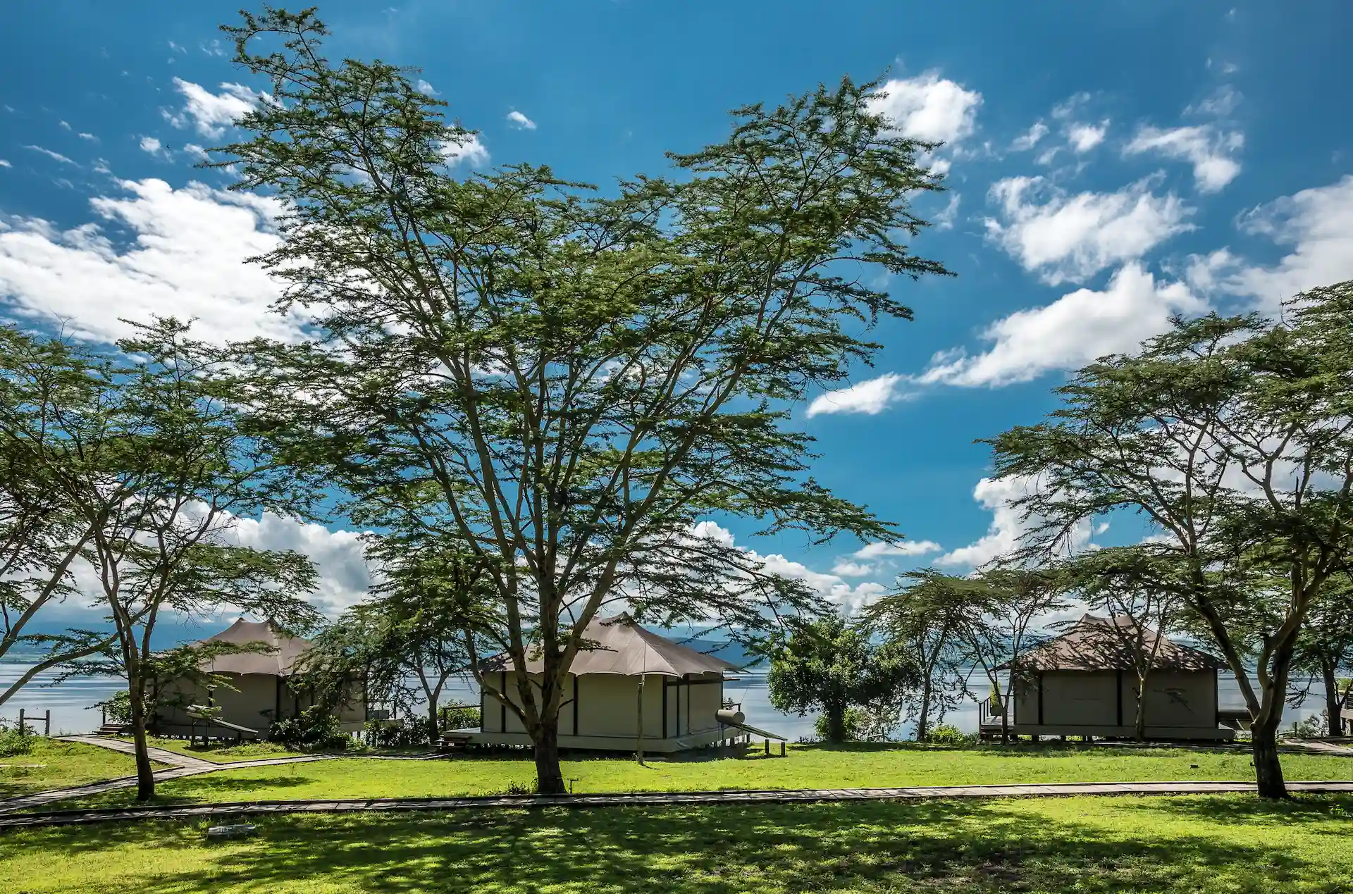 Experience the best of Kenya with luxury glamping options. Explore top safari camps and lodges offering unparalleled wildlife encounters and comfort. Luxury Glamping Kenya Safari Camps Lodges Wildlife Encounters Comfort Top Experience Best Options Discover Kenya